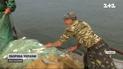Рыбалка во время войны. Россияне уничтожили половину украинских рыбохозяйств