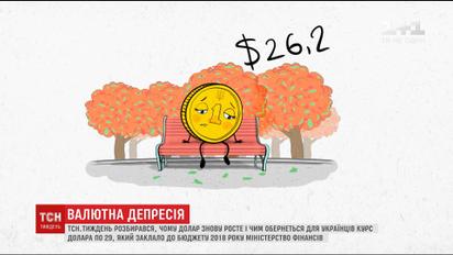 Фінансовий переполох тижня: чому гривня поринула в "осінню депресію"