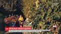 Виноградники просекко пополнили список объектов всемирного наследия ЮНЕСКО