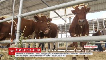 Кропивницкий на четыре дня стал аграрной столицей Украины