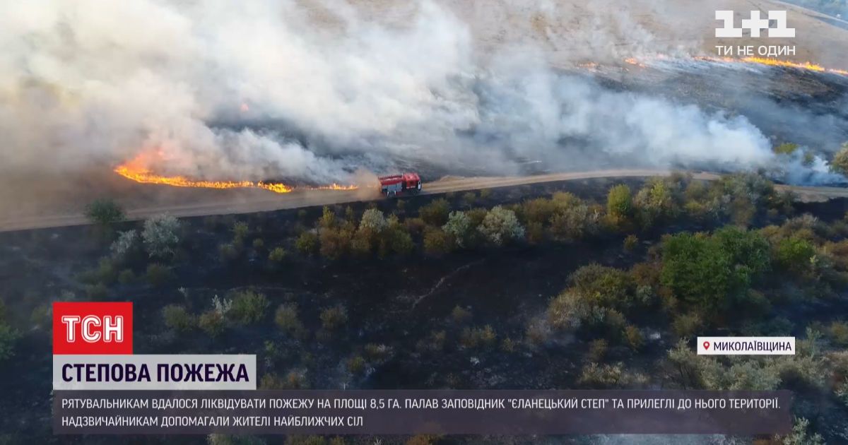В заповеднике 