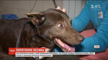 У Сумах чоловік врятував собаку, який провалився під кригу