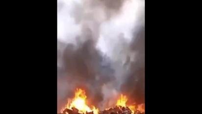 Літак Пригожина розбився: відео з місця подій