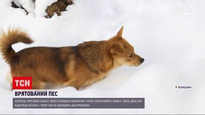 Новости Украины: во Львовской области спасли собаку, которого владельцы хотели утопить