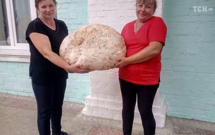 На Київщині знайшли гриб-гігант вагою майже 18 кг