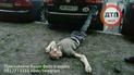 У Києві внаслідок падіння з 13 поверху загинув чоловік