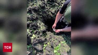 Ребенок подорвался на Харьковщине на мини-лепестке