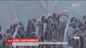 На півдні Іспанії народилася рекордна кількість фламінго