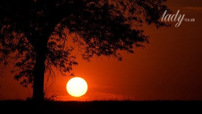 Сонце у Стрільці від 22 листопада до 21 грудня 2025 року