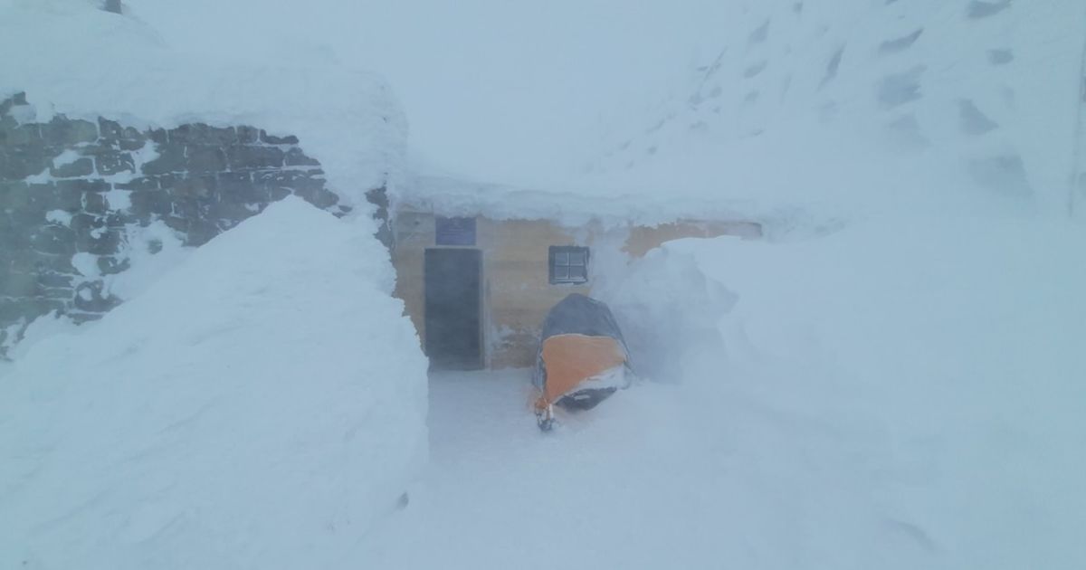 "Зимуем по полной": в Карпатах мороз до -20°С и ограниченная видимость (фото)