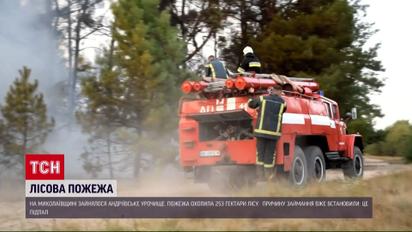 На Миколаївщині невідомі підпалили 250 гектарів лісу