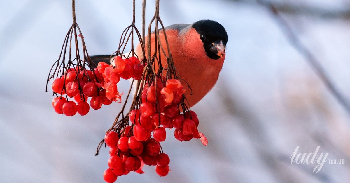 Гороскоп на 5 січня