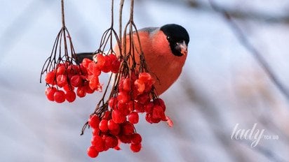 Гороскоп на 5 января