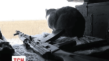 Зі штабу АТО повідомляють, що бойовики прицільно обстрілюють позиції української армії