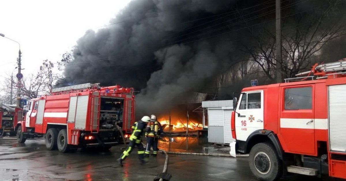 пожежа на лісовій _3 / © Управління ДСНС Києва