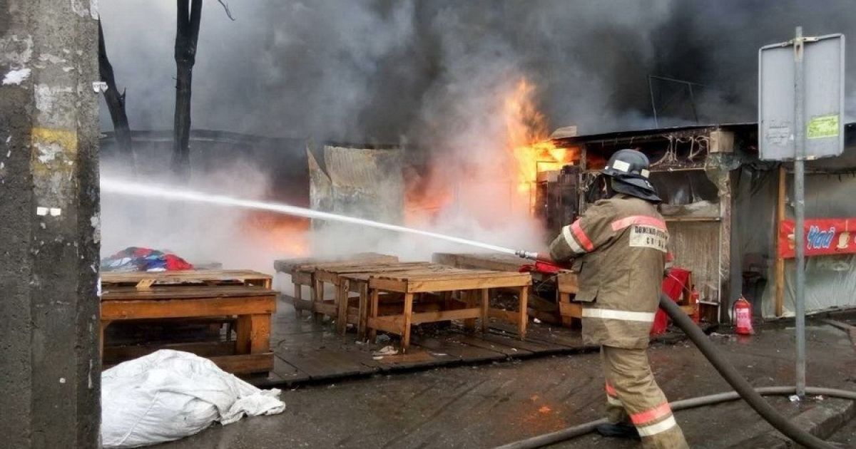 пожежа на лісовій _4 / © Управління ДСНС Києва