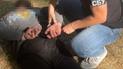 Задержание агента ФСБ/СБУ