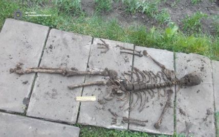 На Рівненщині жителька у власному подвір'ї виявила скелет людини