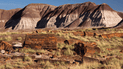 Petrified Forest National Park