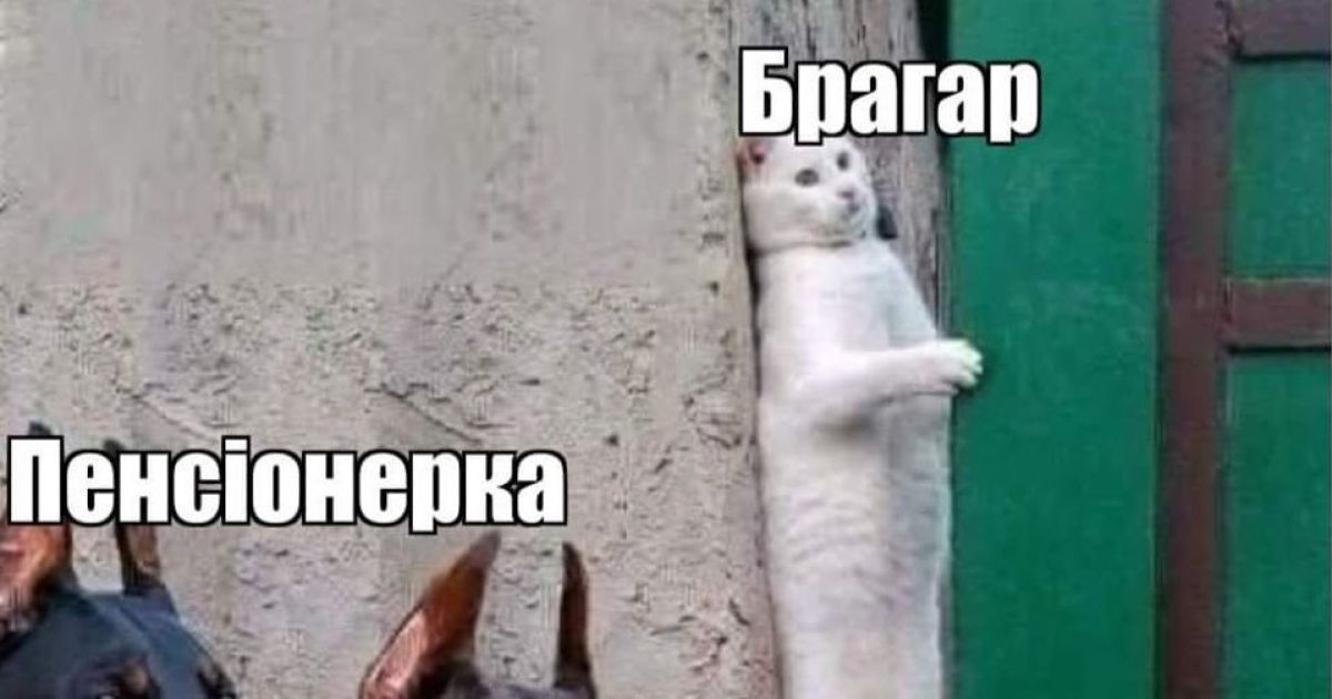 Мемы о Брагар / © из соцсетей