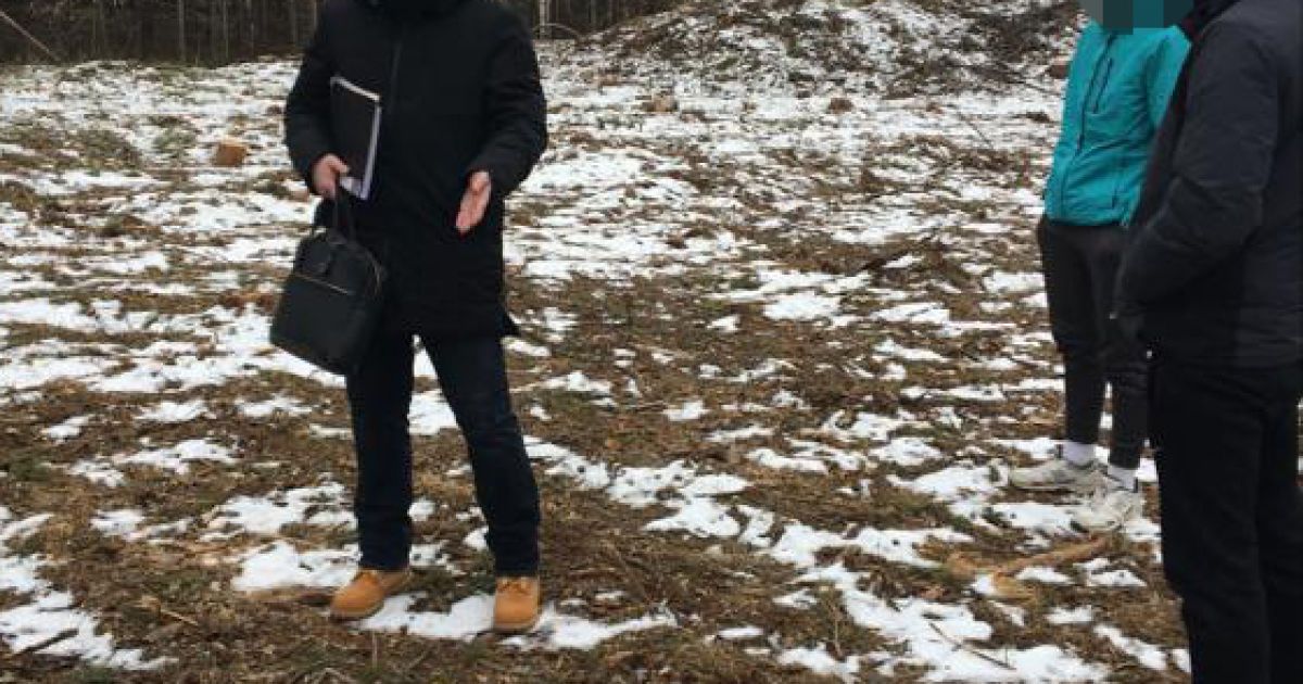 обшуки в лісовому господарстві на Житомирщині_2 / © Державне бюро розслідувань