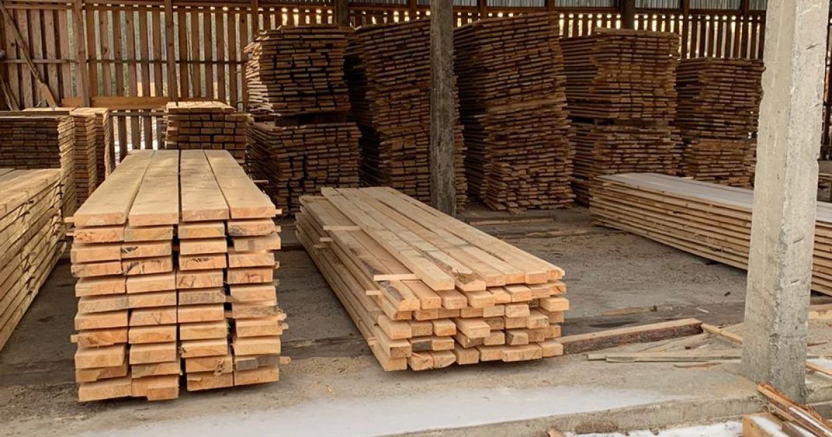 обшуки в лісовому господарстві на Житомирщині_1 / © Державне бюро розслідувань