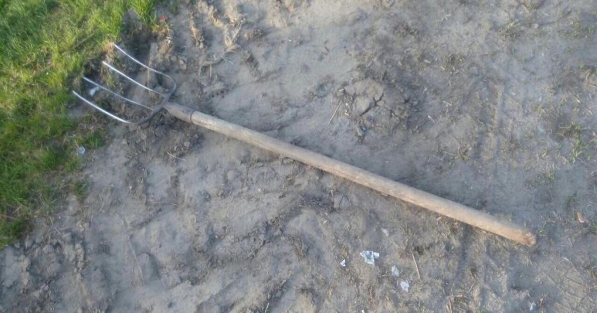 На Виннитчине вооруженный топором и вилами мужчина напал на полицейского