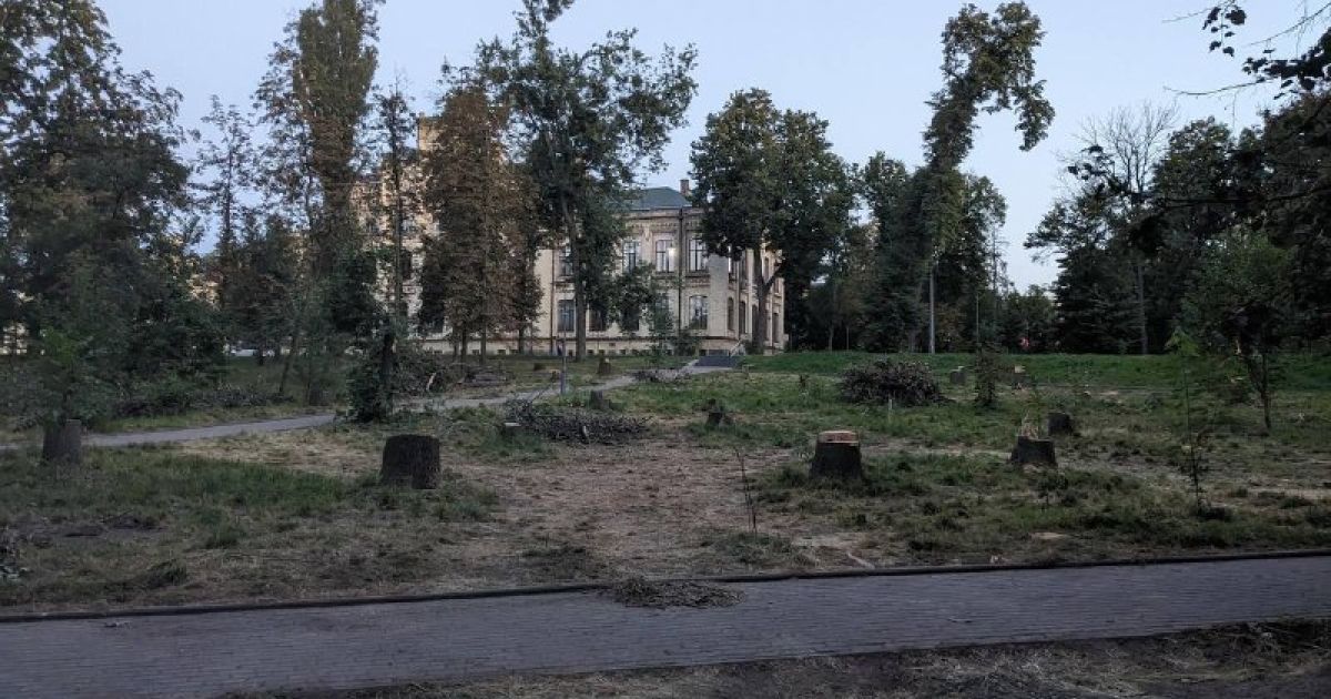 Пеньки вместо деревьев в парке КПИ