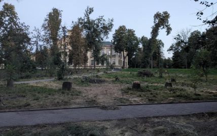 У парку КПІ зрізали декілька десятків дерев: "Київзеленбуд" прояснив ситуацію (фото)