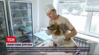 Спецоперація на нулі: військові врятували пораненого під обстрілами пса Бургера