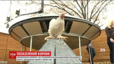 У США подружжя фермерів встановило на подвір’ї будиночок для птахів у формі НЛО
