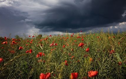 Грозові дощі, місцями навіть град та шквали: прогноз погоди в Україні на п'ятницю, 12 серпня