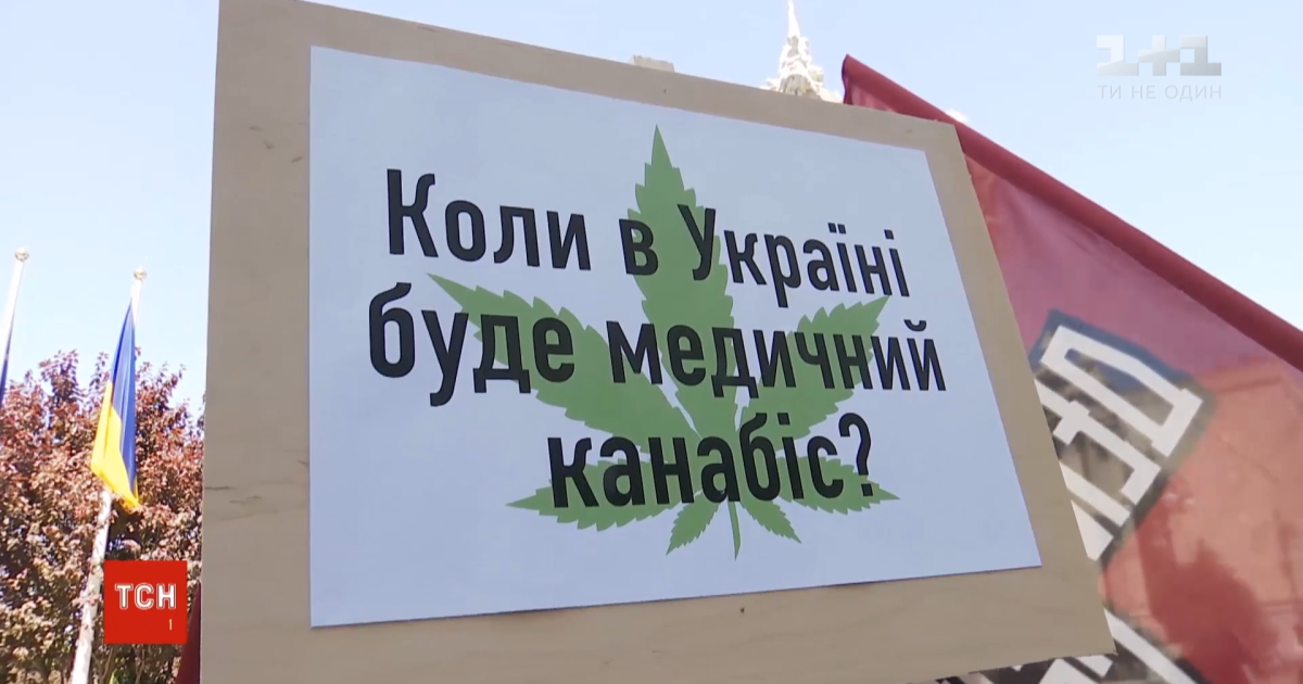 Активисты и тяжелобольные украинцы требовали легализовать медицинский каннабис под Офисом президента - Зеленский отреагировал