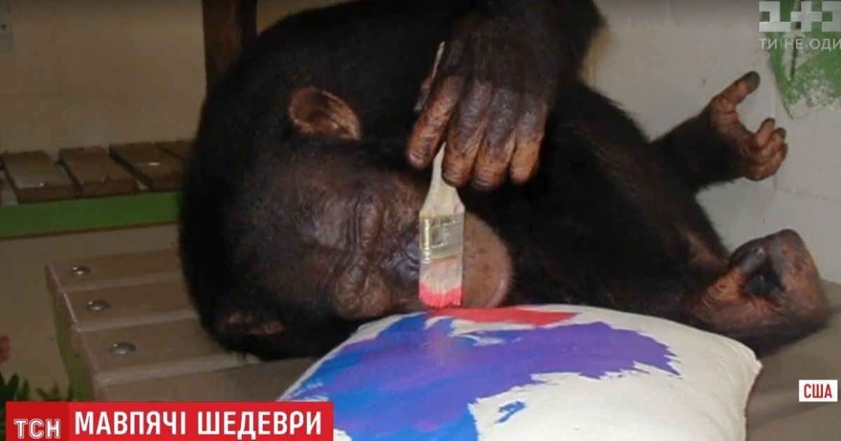 Шимпанзе Майкла Джексона намалювала картину, яка продалася на аукціоні