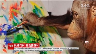 На благодійному аукціоні продають картини, написані мавпою Майкла Джексона