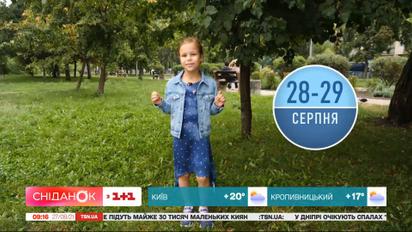 Какой будет погода в последние выходные лета