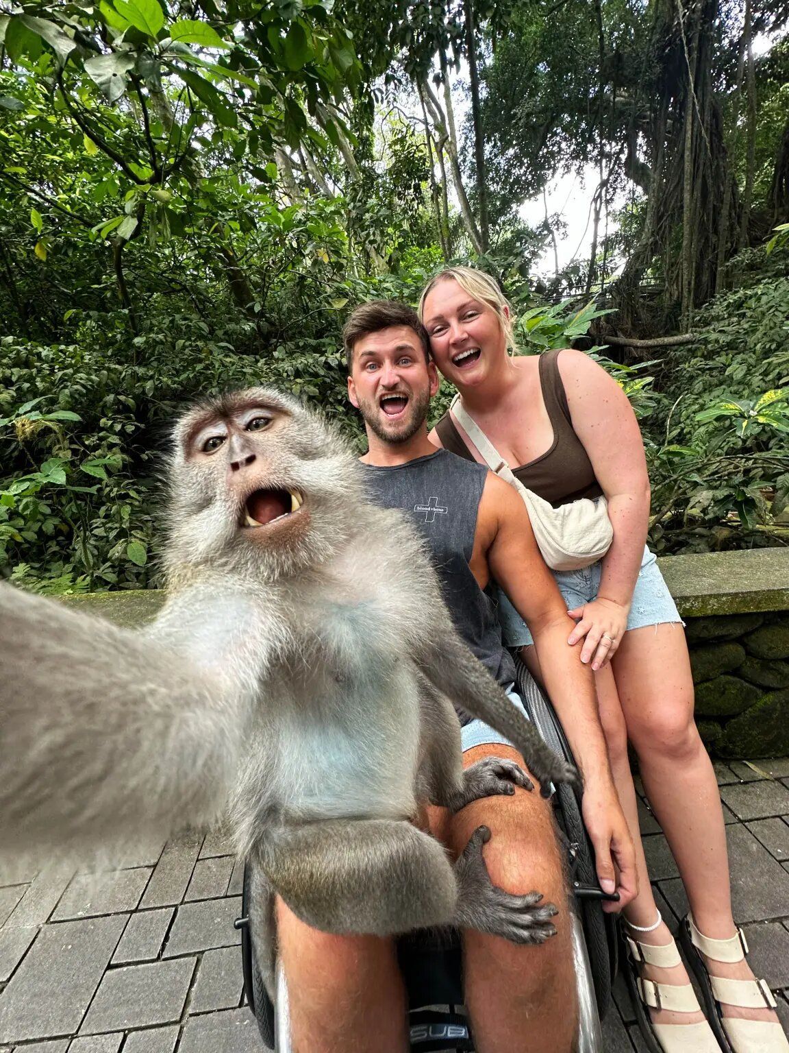 Глоя та Крейг із мавпою / Фото: @mrschlodennis/ CATERS NEWS / © 
