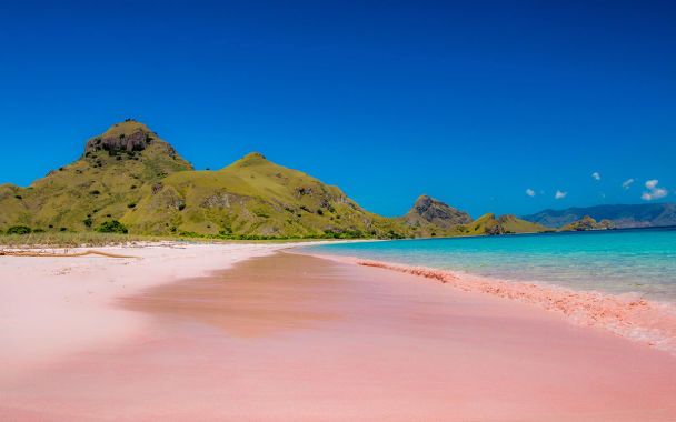 Розовый пляж на острове Флорес / © Bodo Travel