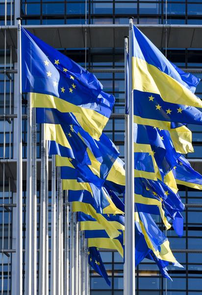 Флаги Украины и ЕС