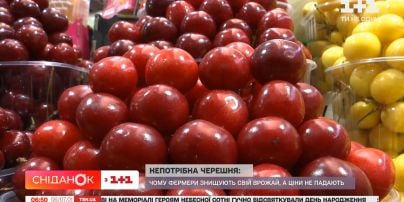 Мелітопольські фермери знищують врожай черешні: що сталося