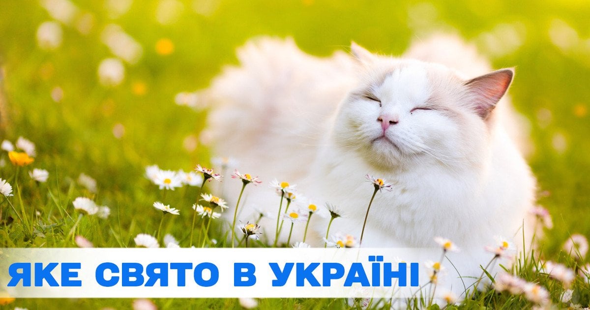 Яке свято 14 червня 2025 року Яке свято 14 червня 2025 року