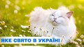 Какой праздник 14 июня 2025 года
