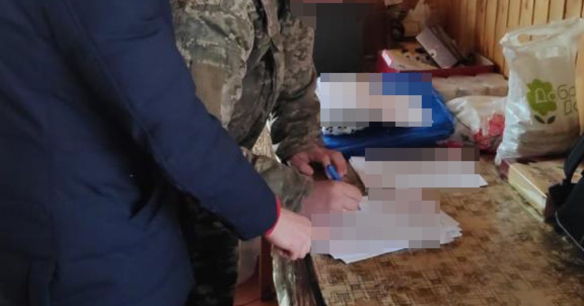 обшуки в лісовому господарстві на Житомирщині_5 / © Державне бюро розслідувань