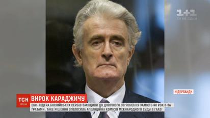 Экс-лидера боснийских сербов приговорили к пожизненному заключению вместо 40 лет за решеткой