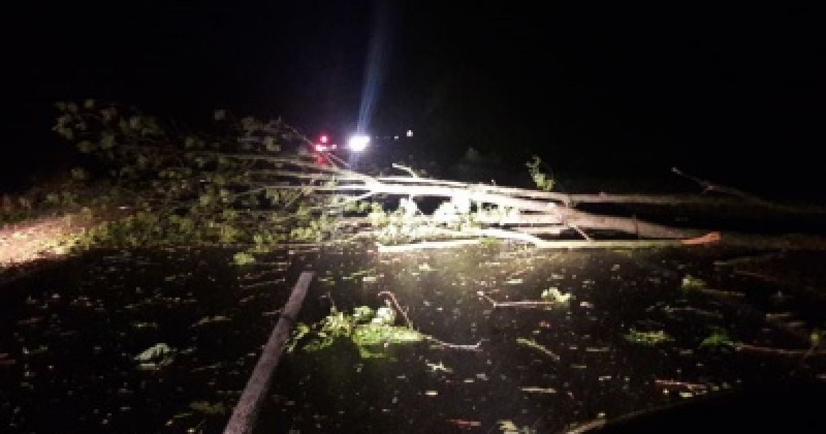 Буковина / © Молодий буковинець