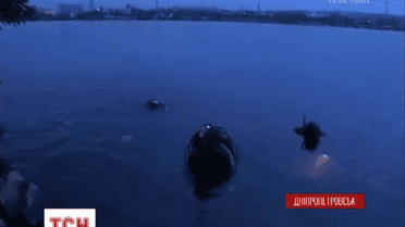 В днепропетровском порту обнаружили подводный тайник с противотанковыми минами