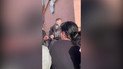 У Львові стався конфлікт між цивільними, патрульними та представниками ТЦК