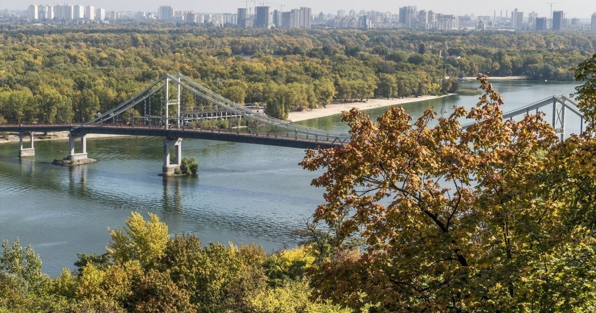 Активисты создали интерактивную карту "выдающихся" деревьев Киева