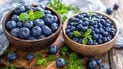 Яка користь для зору й серця лохини та чорниці