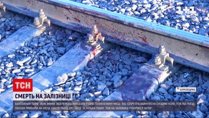В селі Огульці вантажний потяг збив жінку | Новини Харківської області